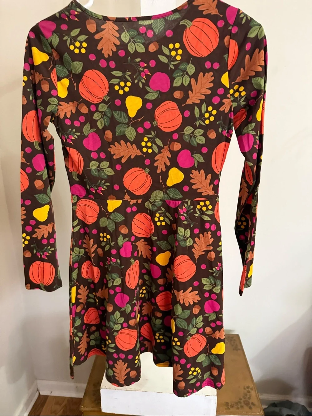NWT Children’s Place Fall Dress